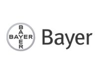 Логотип Bayer, клієнт IMPACT L&D